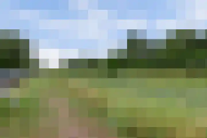 Kersenplukkerserf 13 Arnhem thumbnail 40