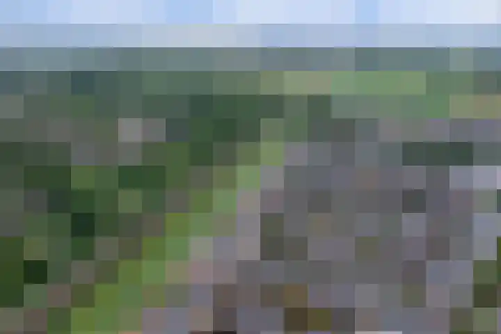 Kersenplukkerserf 13 Arnhem thumbnail 41