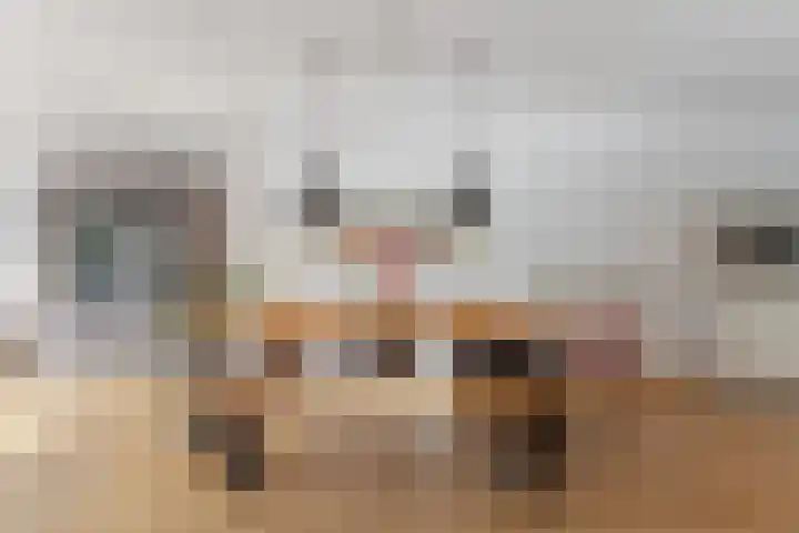 Kersenplukkerserf 17 Arnhem thumbnail 14