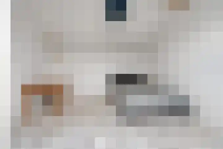 Kersenplukkerserf 17 Arnhem thumbnail 30