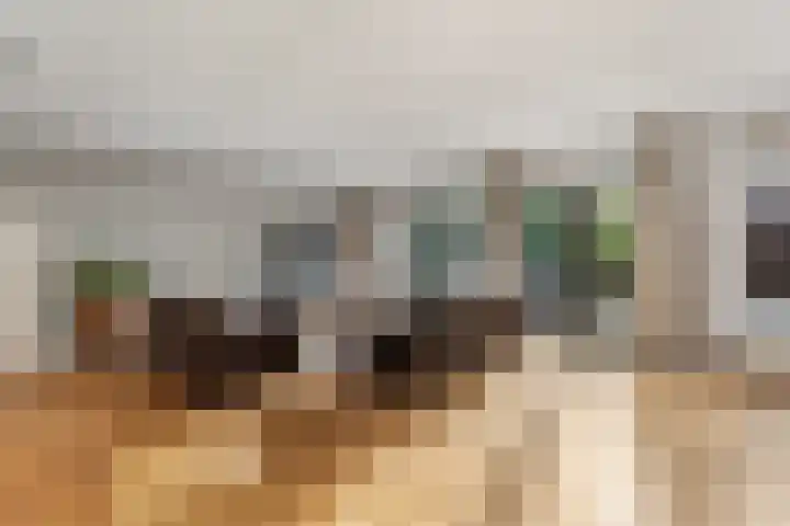 Kersenplukkerserf 17 Arnhem thumbnail 8