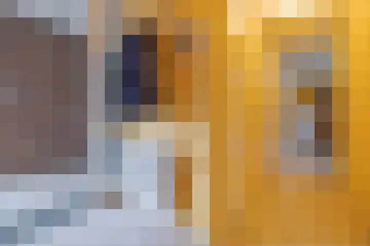 Kersenplukkerserf 22 Arnhem thumbnail 15