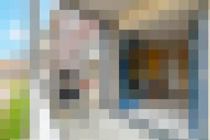 Kersenplukkerserf 22 Arnhem thumbnail 24