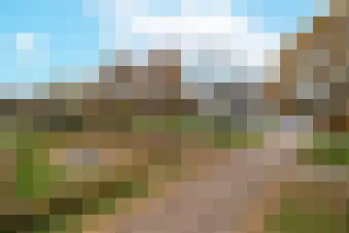 Kersenplukkerserf 22 Arnhem thumbnail 37