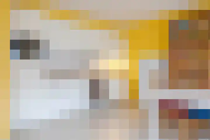 Kersenplukkerserf 22 Arnhem thumbnail 4