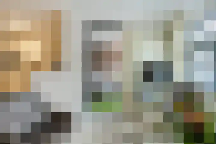Kerspel 1 b Wierden thumbnail 13