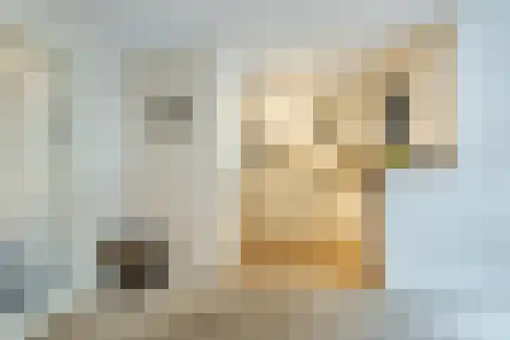 Kerspel 1 b Wierden thumbnail 19