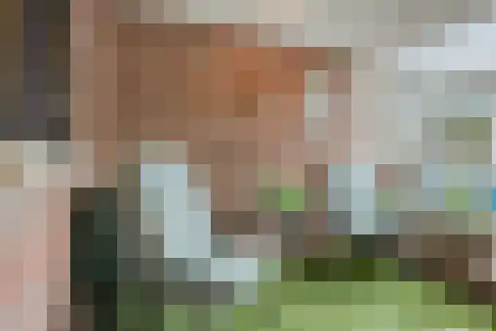 Kerspel 1 b Wierden thumbnail 33