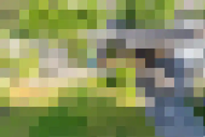 Kerspel 1 b Wierden thumbnail 4
