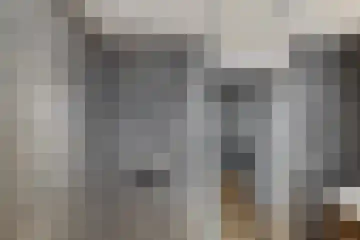 Kerspel 14 Annen thumbnail 24