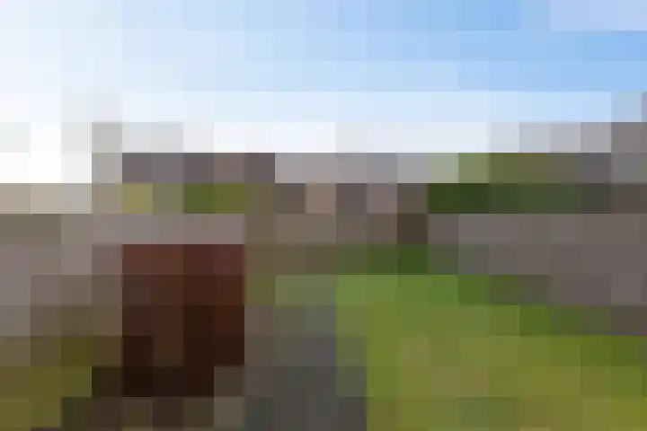 Kerspel 14 Annen thumbnail 28