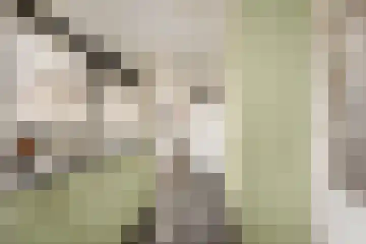 Kerspel 17 Zwanenburg thumbnail 11