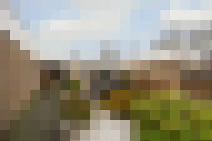 Kerspel 17 Zwanenburg thumbnail 16
