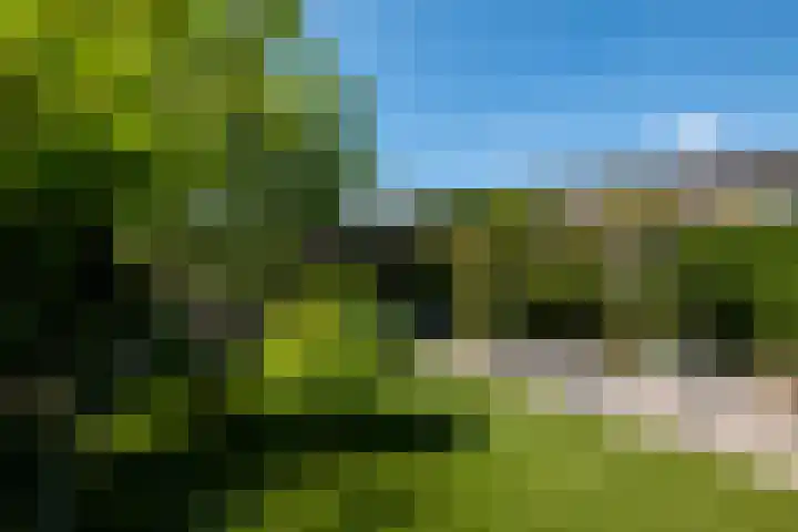 Kerspel 17 Zwanenburg thumbnail 22