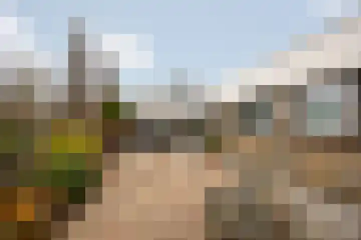 Kerspel 17 Zwanenburg thumbnail 28