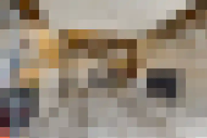 Kerspel 17 Zwanenburg thumbnail 33