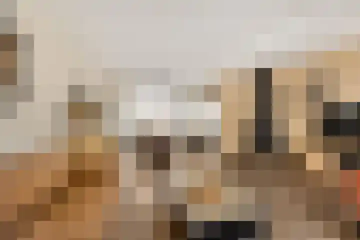 Kerspel 17 Zwanenburg thumbnail 7