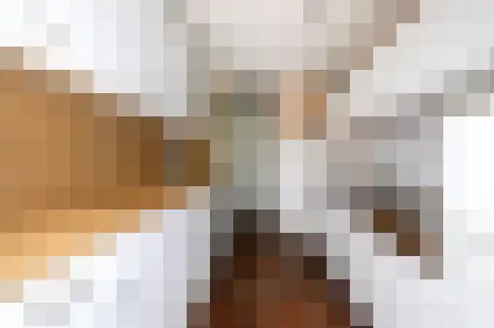 Kerspel 48 Vries thumbnail 12