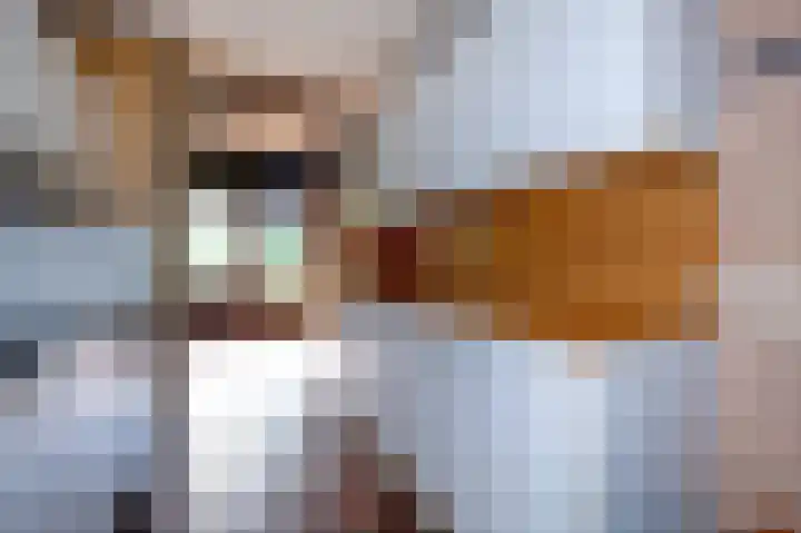 Kerspel 48 Vries thumbnail 17