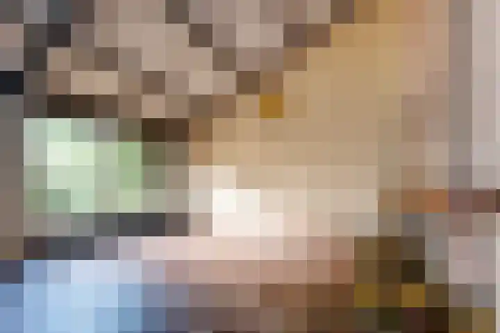 Kerspel 48 Vries thumbnail 20