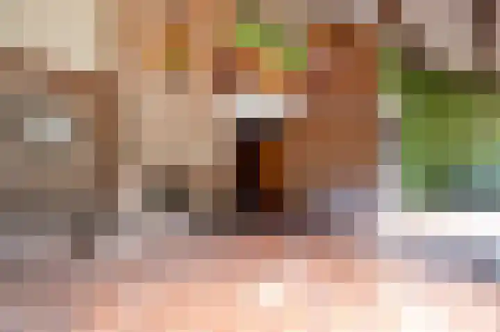Kerspel 48 Vries thumbnail 22
