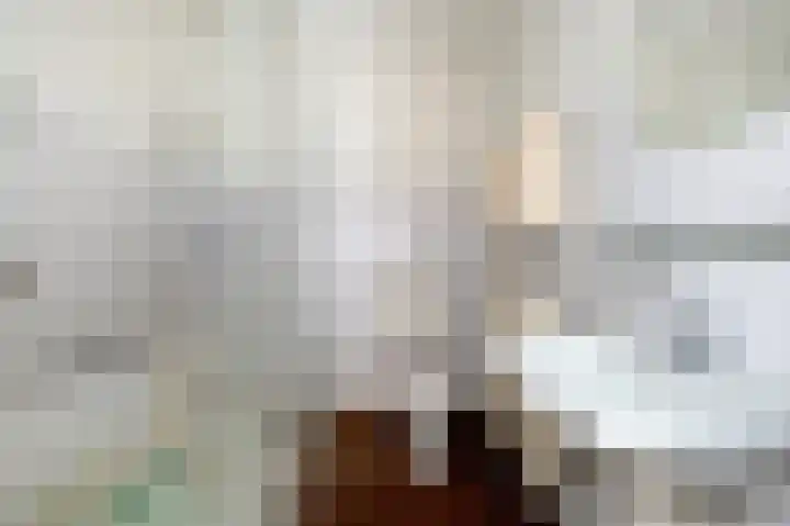 Kerspel 48 Vries thumbnail 28