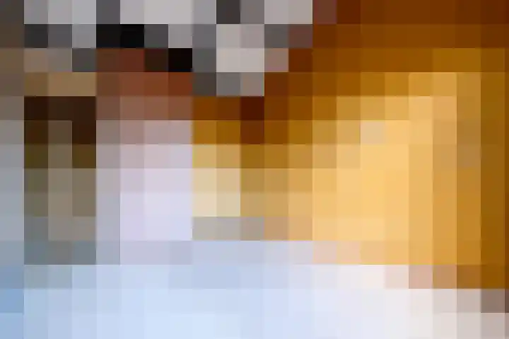 Kerspel 48 Vries thumbnail 29