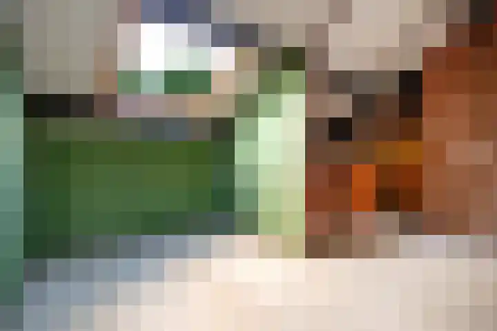 Kerspel 48 Vries thumbnail 31