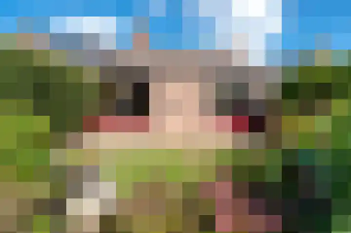 Kerspel 48 Vries thumbnail 36