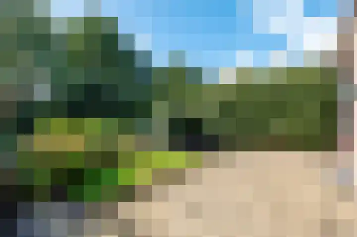 Kerspel 48 Vries thumbnail 38