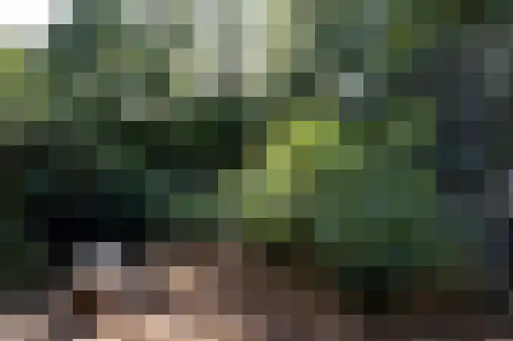 Kerspel 48 Vries thumbnail 40