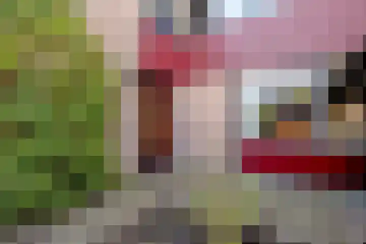 Kerspel 48 Vries thumbnail 42