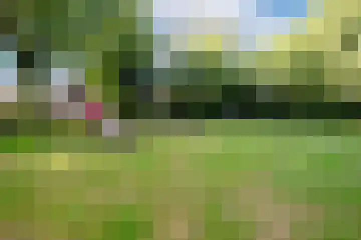 Kerspel 48 Vries thumbnail 49