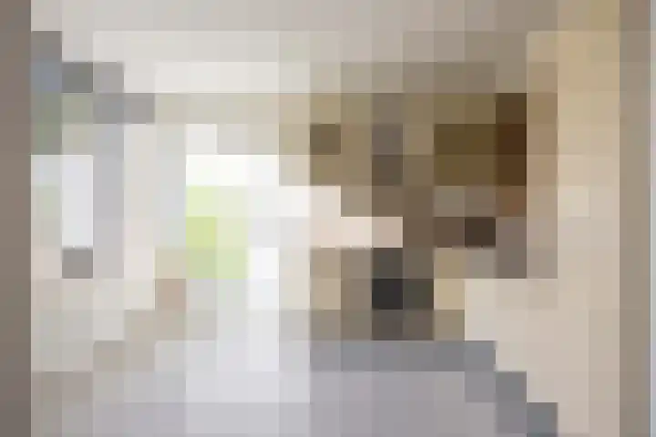 Kerspel 64 Winsum thumbnail 8