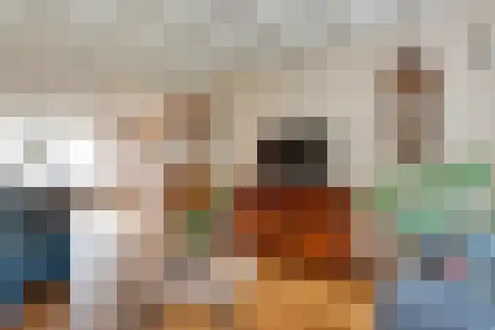 Kerspelweg 32 Raalte thumbnail 17