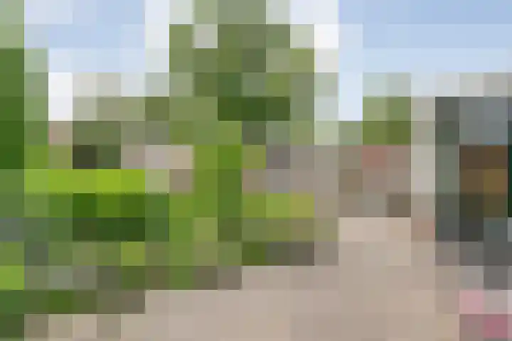 Kerspelweg 32 Raalte thumbnail 36