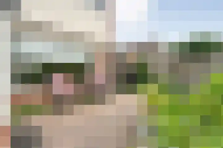Kerspelweg 32 Raalte thumbnail 37