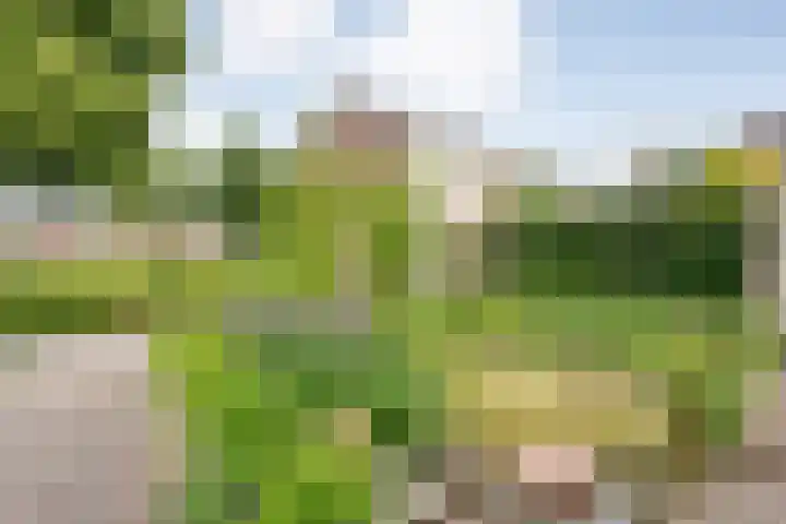Kerspelweg 32 Raalte thumbnail 7
