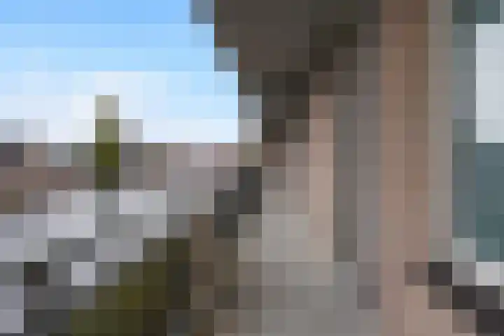 Kervel 20 Oisterwijk thumbnail 10