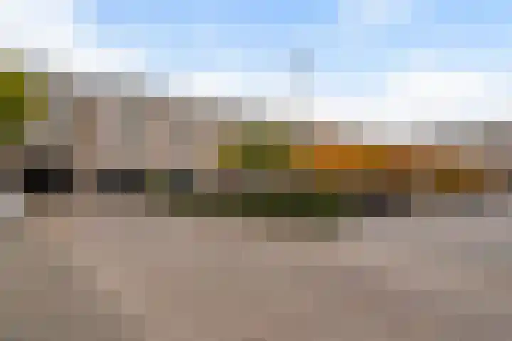 Kervel 20 Oisterwijk thumbnail 44