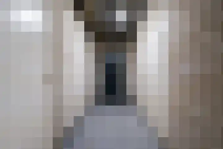 Kervel 20 Oisterwijk thumbnail 9