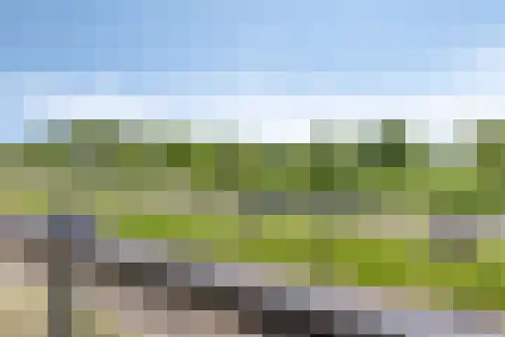 Kervel 31 Numansdorp thumbnail 12