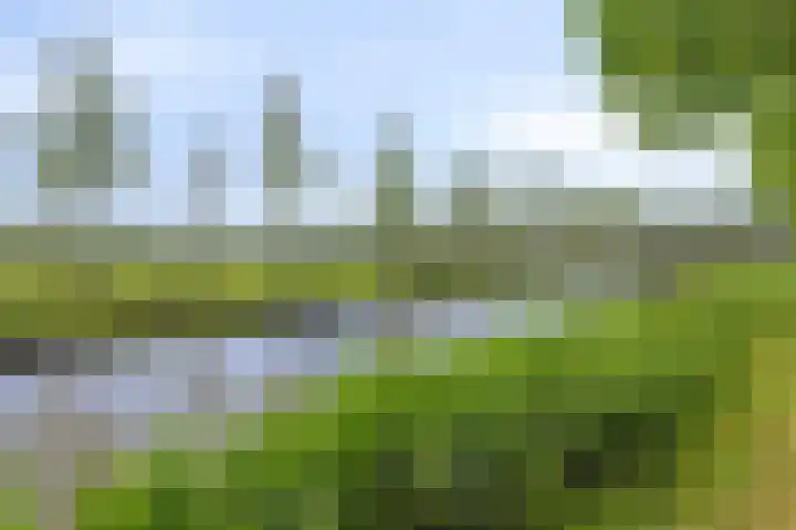 Kervel 31 Numansdorp thumbnail 22