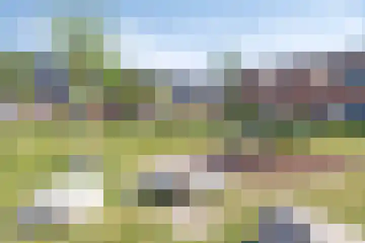 Kervel 31 Numansdorp thumbnail 24