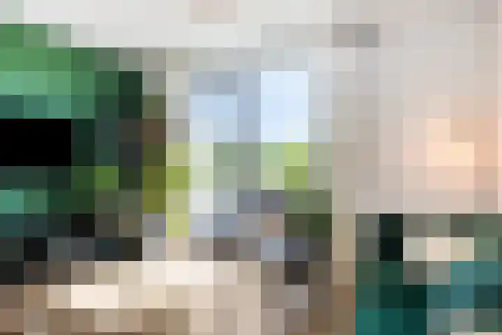 Kervel 31 Numansdorp thumbnail 9