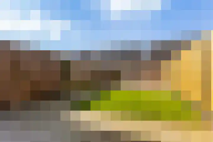 Kervel 7 Hardenberg thumbnail 14