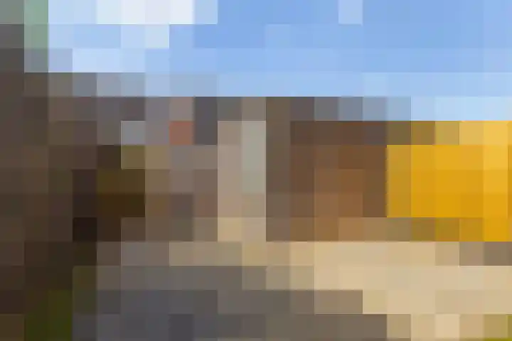 Kervel 7 Hardenberg thumbnail 15