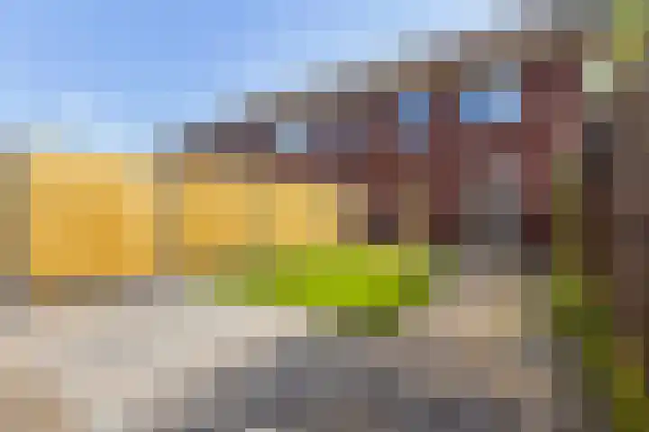 Kervel 7 Hardenberg thumbnail 16