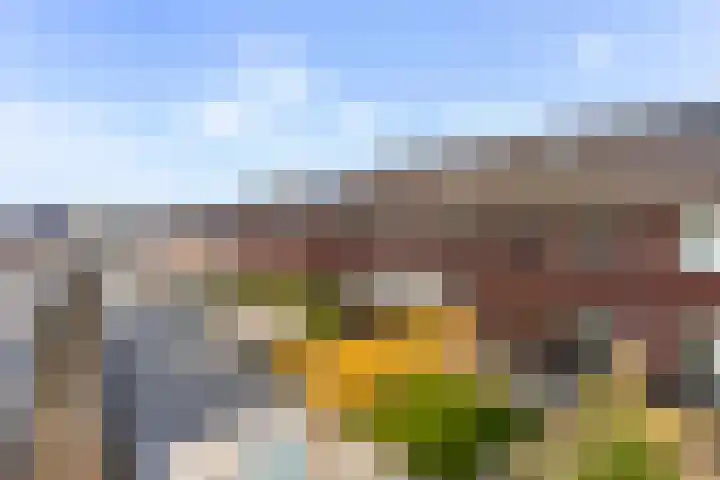 Kervel 7 Hardenberg thumbnail 19