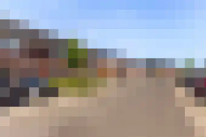 Kervel 7 Hardenberg thumbnail 39